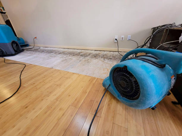 Reliable Basement Flood Cleanup contractor in Bullard, TX by Hirex Water Damage