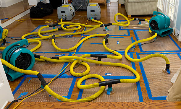 Professional Basement Flood Cleanup technician working in Bullard, TX